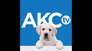 AKC TV